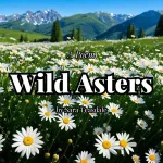 Wild Asters by Sara Teasdale