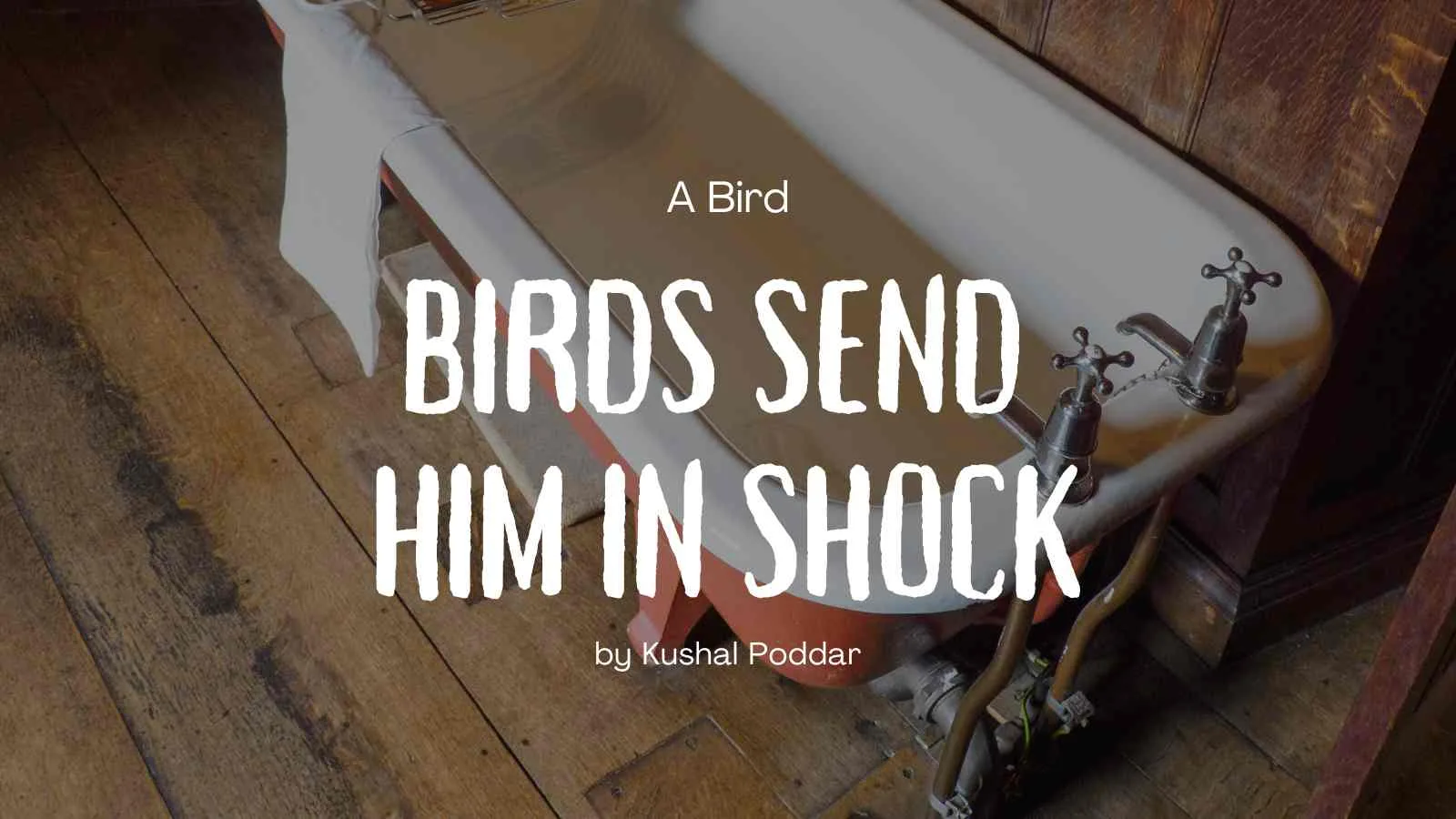 Birds Send Him in Shock

by Kushal Poddar